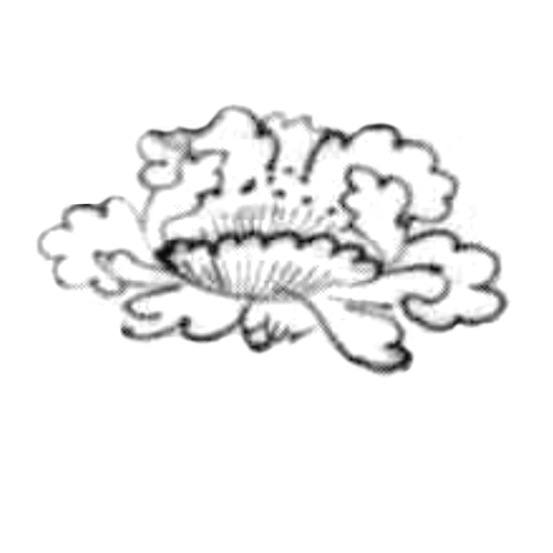 白地黑彩牡丹纹 · W10